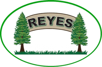 reyes landscapign logo
